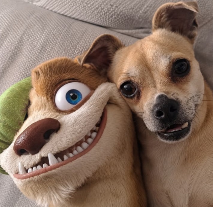 El perrito más sonriente